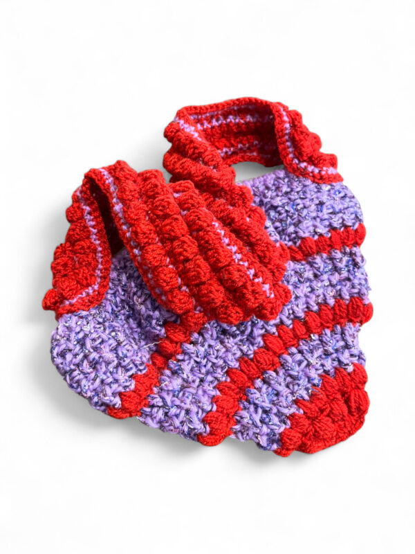 Crochet Mini Bag in Red and Purple
