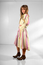 Striped Cat Garden Shirt Dress