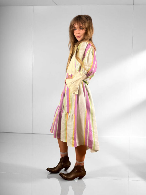 Striped Cat Garden Shirt Dress