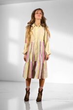 Striped Cat Garden Shirt Dress